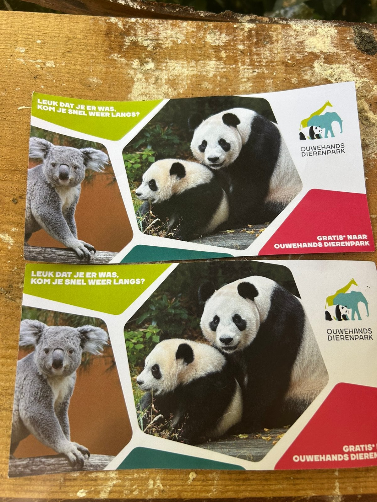 2 gratis kaarten ouwehands dierenpark Rhenen, Tickets en Kaartjes, Recreatie | Dierentuinen, Twee personen, Ticket of Toegangskaart
