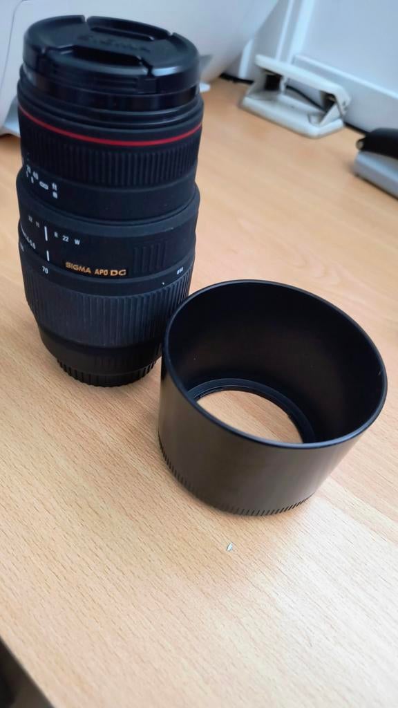 Sigma APO DG 70-300mm objectief met zonnekap, Audio, Tv en Foto, Fotografie | Lenzen en Objectieven, Ophalen of Verzenden, Gebruikt