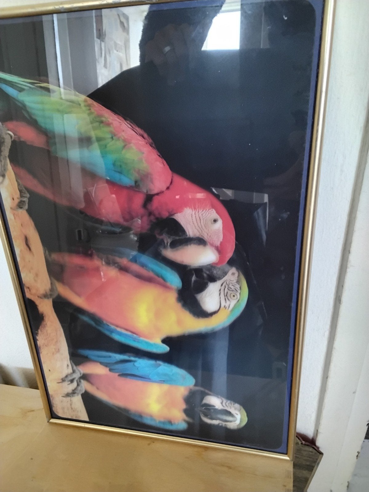 Ara  3D lijst, 30 cm, Overige typen, Ophalen of Verzenden, Met afbeelding