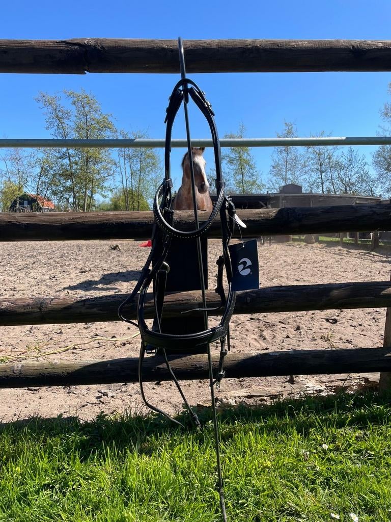 Busse feeling hoofdstel maat cob/full, Dieren en Toebehoren, Paarden en Pony's | Hoofdstellen en Tuigage, Ophalen of Verzenden