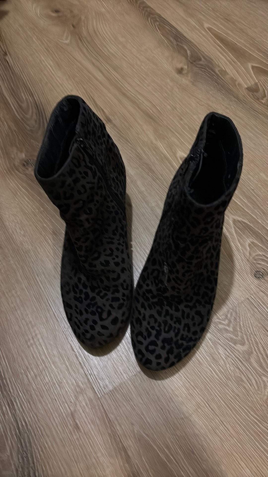 Leopard print enkellaarsjes maat 39, Kleding | Dames, Schoenen, Ophalen of Verzenden, Gedragen, Zwart, Lage of Enkellaarzen