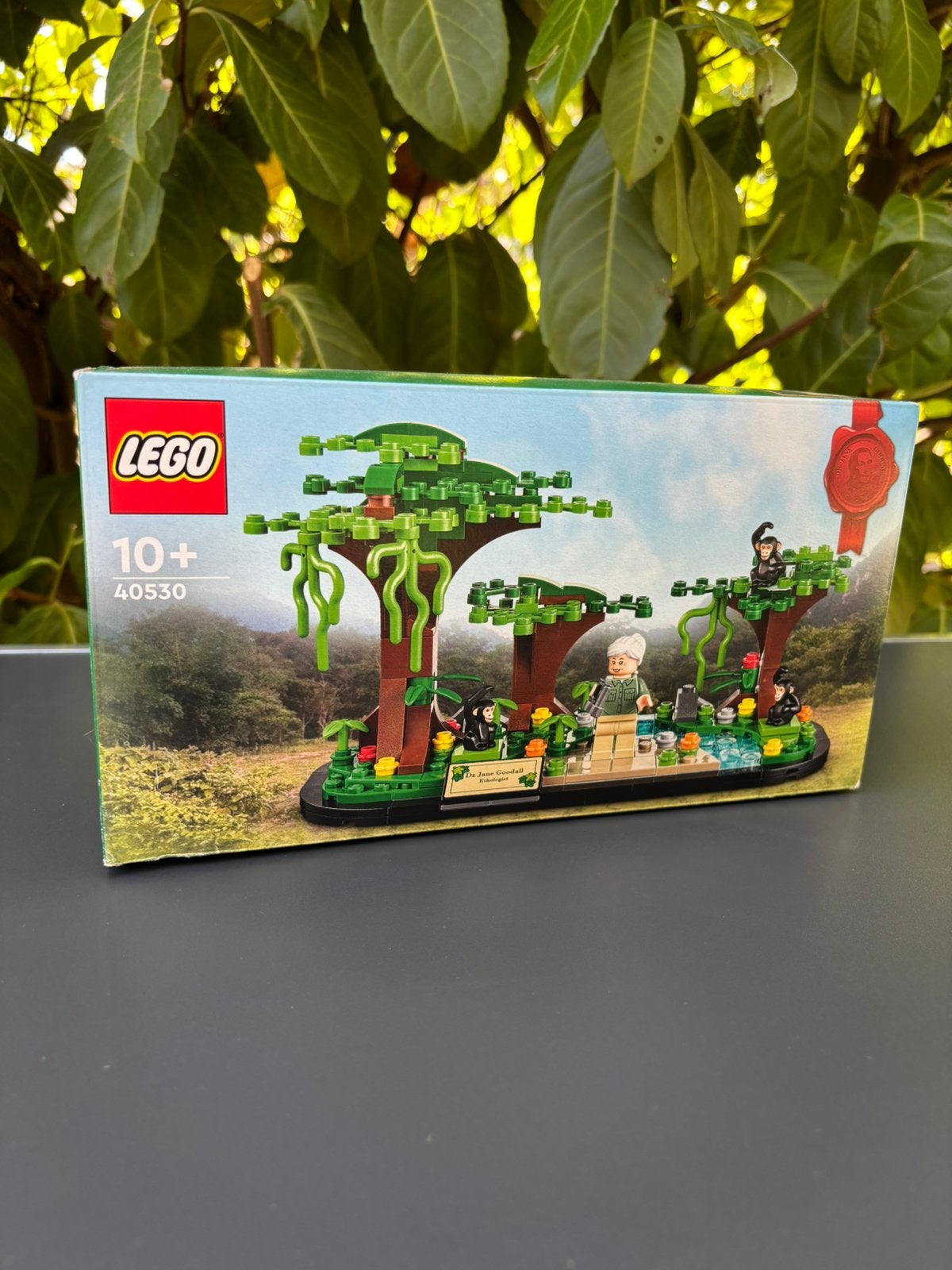 LEGO 40530 Eerbetoon aan Jane Goodall – Nieuw & verzegeld, Lego, Nieuw, Ophalen of Verzenden, Complete set