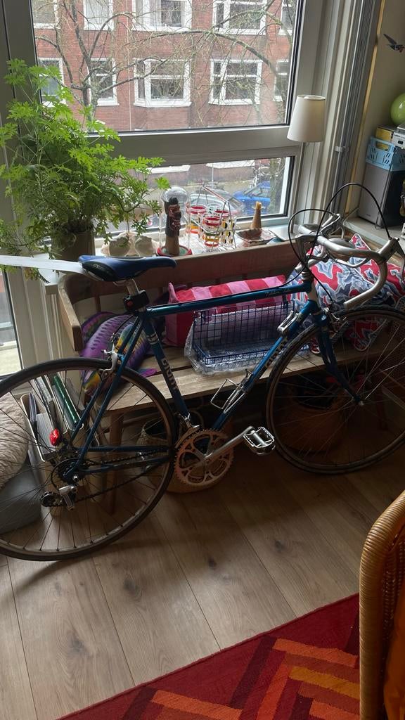 Giant racefiets - Klassiek model, Fietsen en Brommers, Ophalen, 28 inch, Gebruikt, Heren