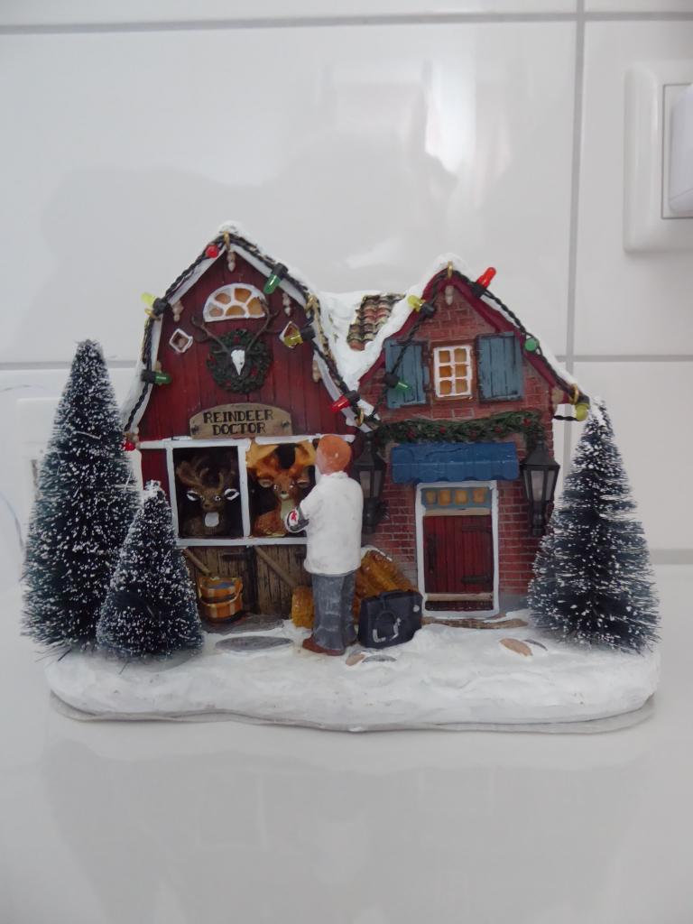 Luville Item - Reindeer docter - Ik ruim op, Diversen, Kerst, Nieuw, Ophalen of Verzenden