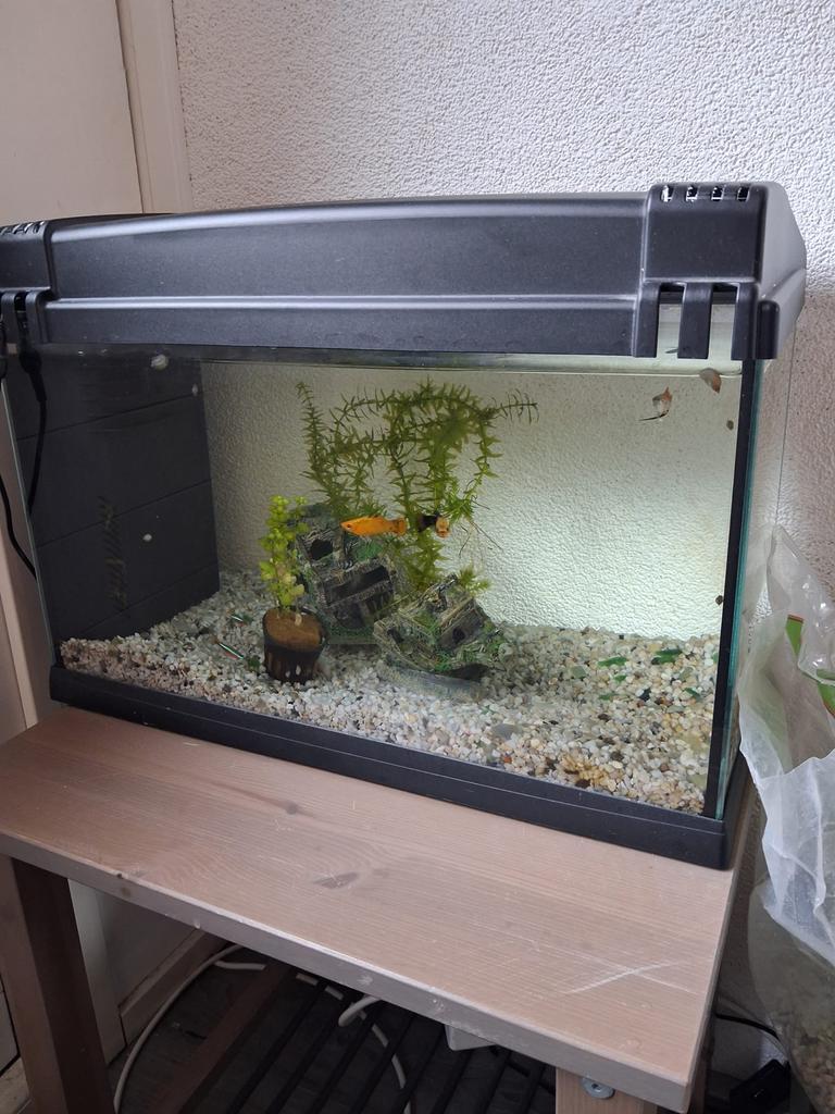 Aquarium 60 liter met pomp en verwarming, Ophalen, Gebruikt, ., Overige merken