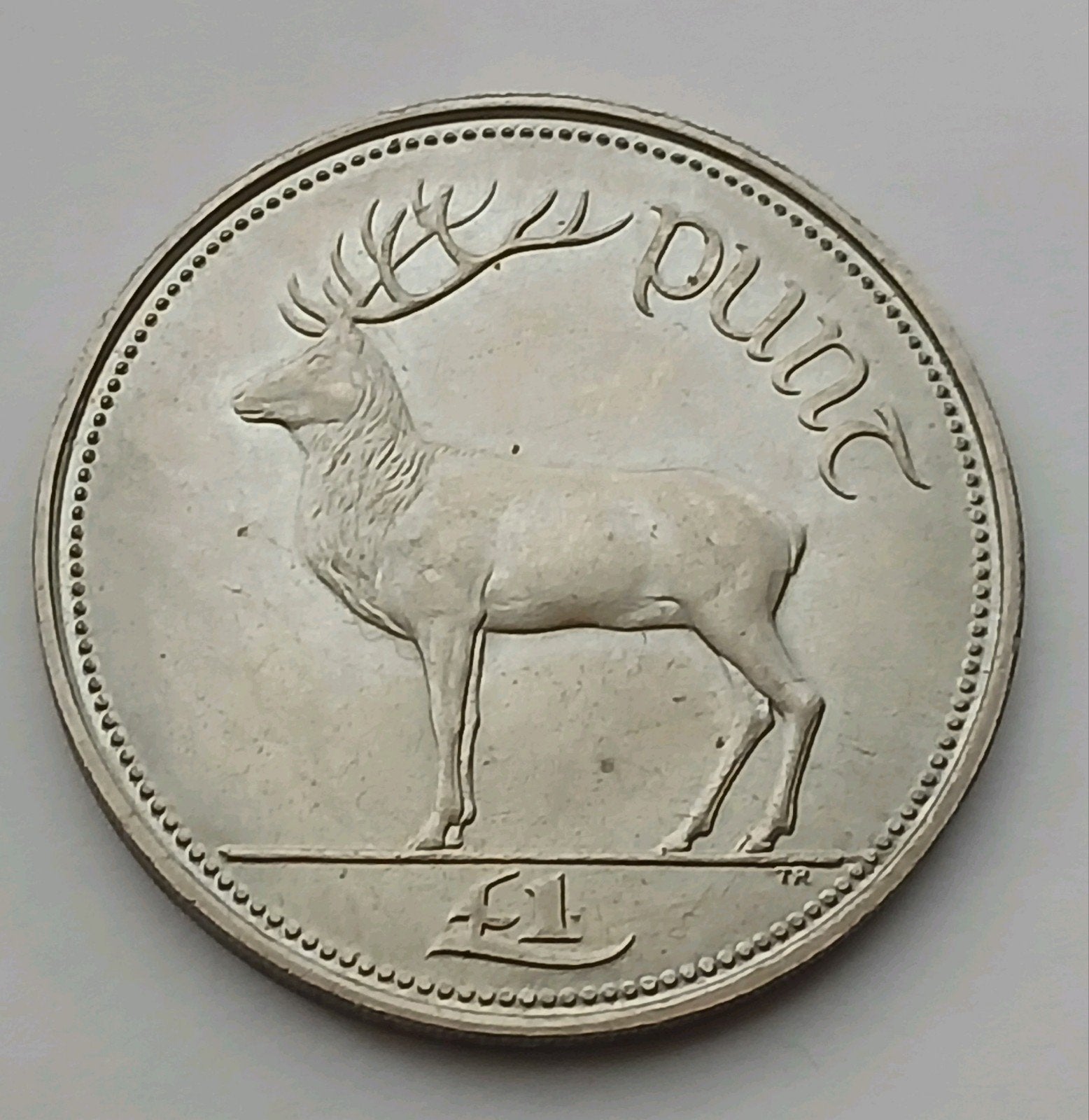 Ierland 1 Pound 1990 Prachtige Oude Munt UNC Edelhert Harp, Ophalen of Verzenden