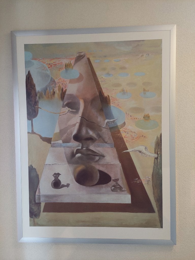 Salvador Dali kunstposter  -  90 x 120 cm, Ophalen, Ingelijst, Print, Landschap