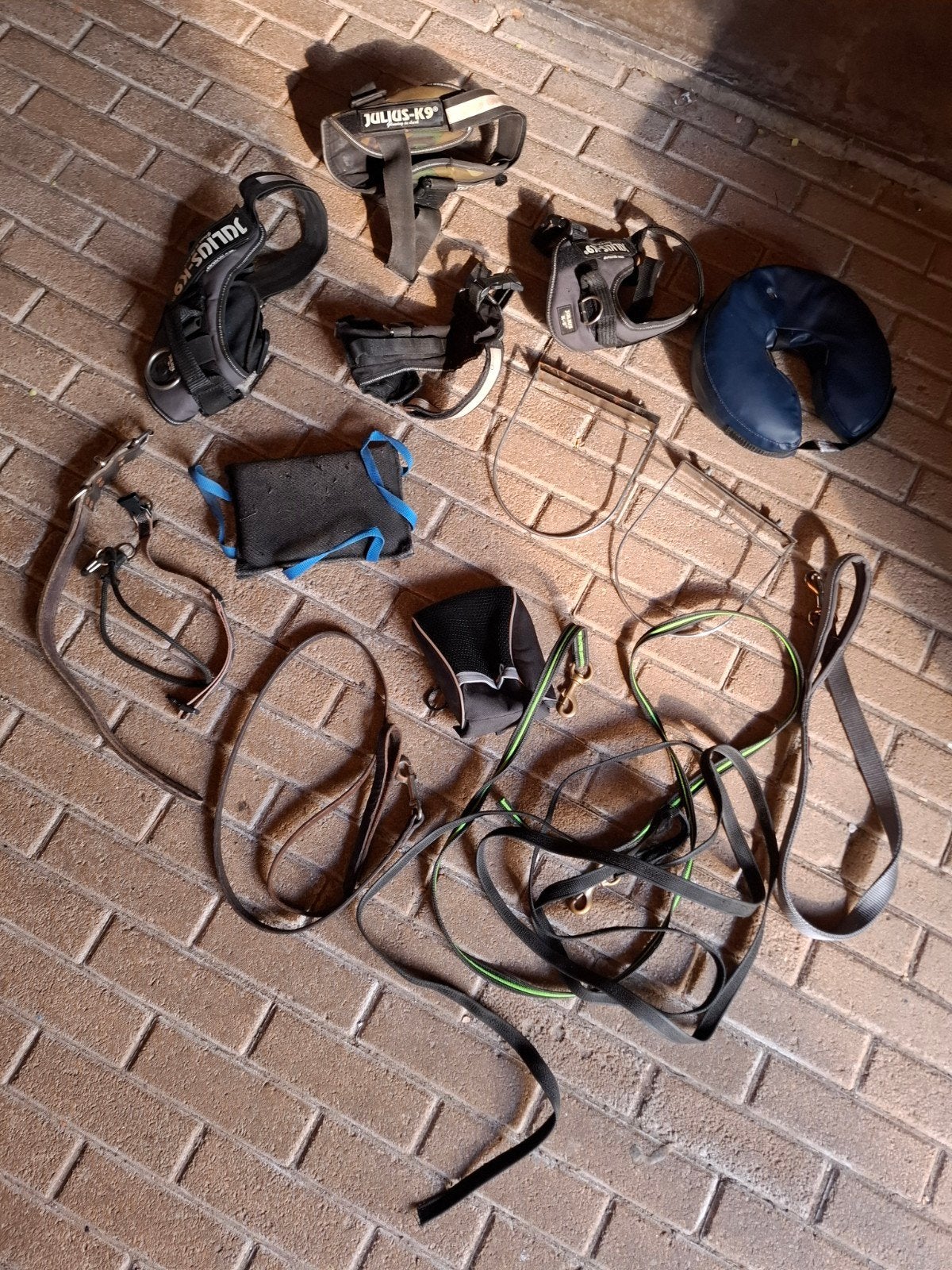 Hondensport artikelen, Ophalen, Gebruikt