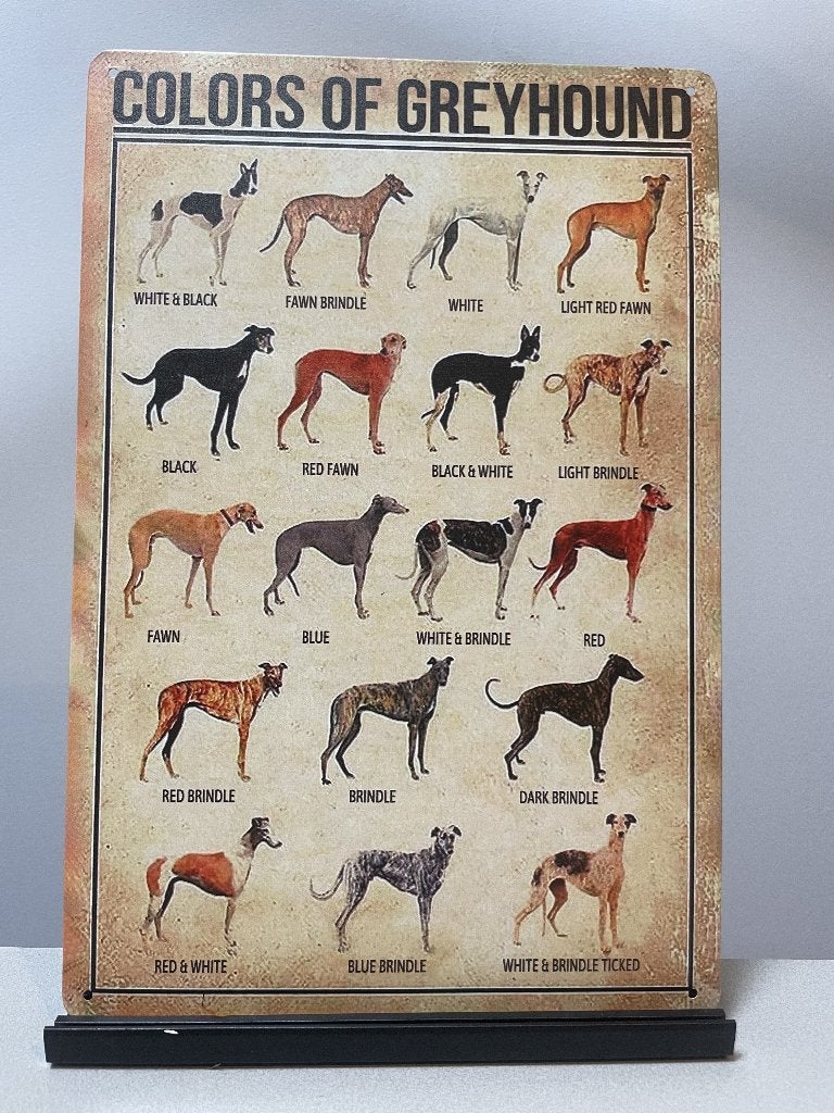 Colors of Greyhound  windhond metalen wandbord (Old Look), Www.pand50.nl, Nieuw, Ophalen of Verzenden, Printer 29B Coevorden