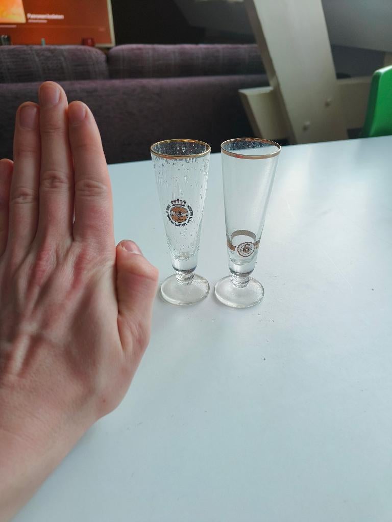 Unieke mini Warsteiner tulp glaasjes, Verzamelen, Ophalen of Verzenden, Zo goed als nieuw, Glas of Glazen, Overige merken