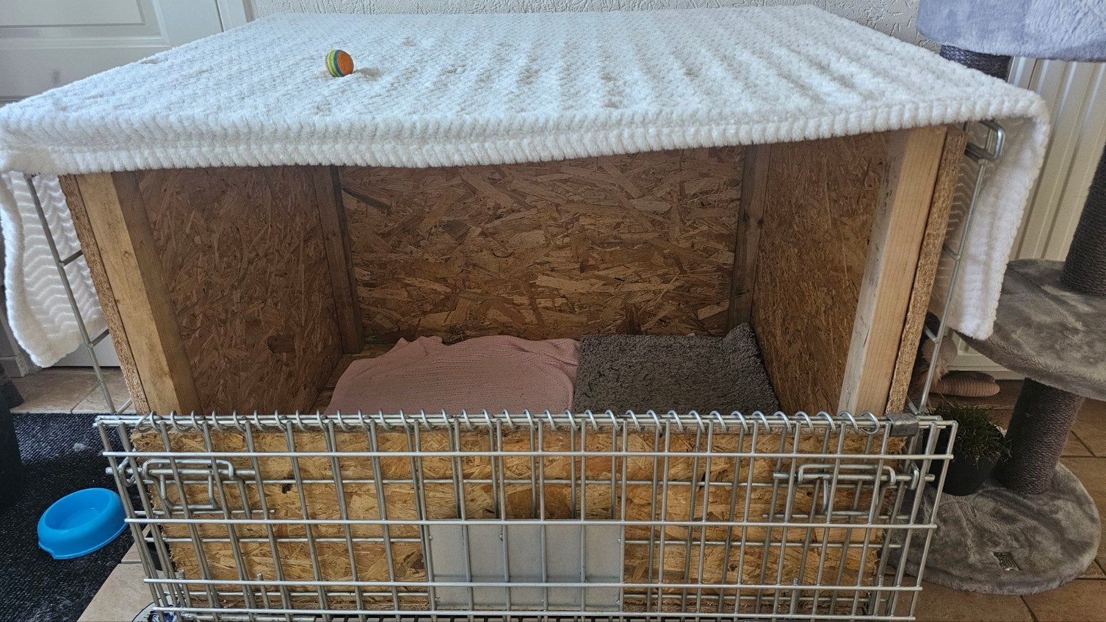 Werpkist kat/hond, Ophalen, Zo goed als nieuw, 110 cm of meer, Minder dan 65 cm