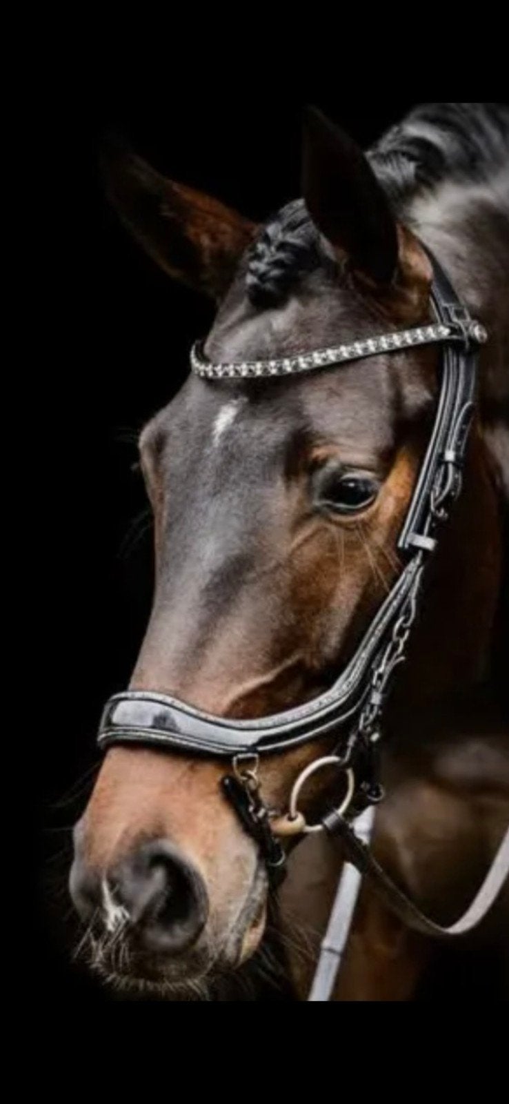 Hoofdstel PresTeq FaySport Glitter, Zwart, full/paard., Ophalen of Verzenden, Zo goed als nieuw, Dressuur