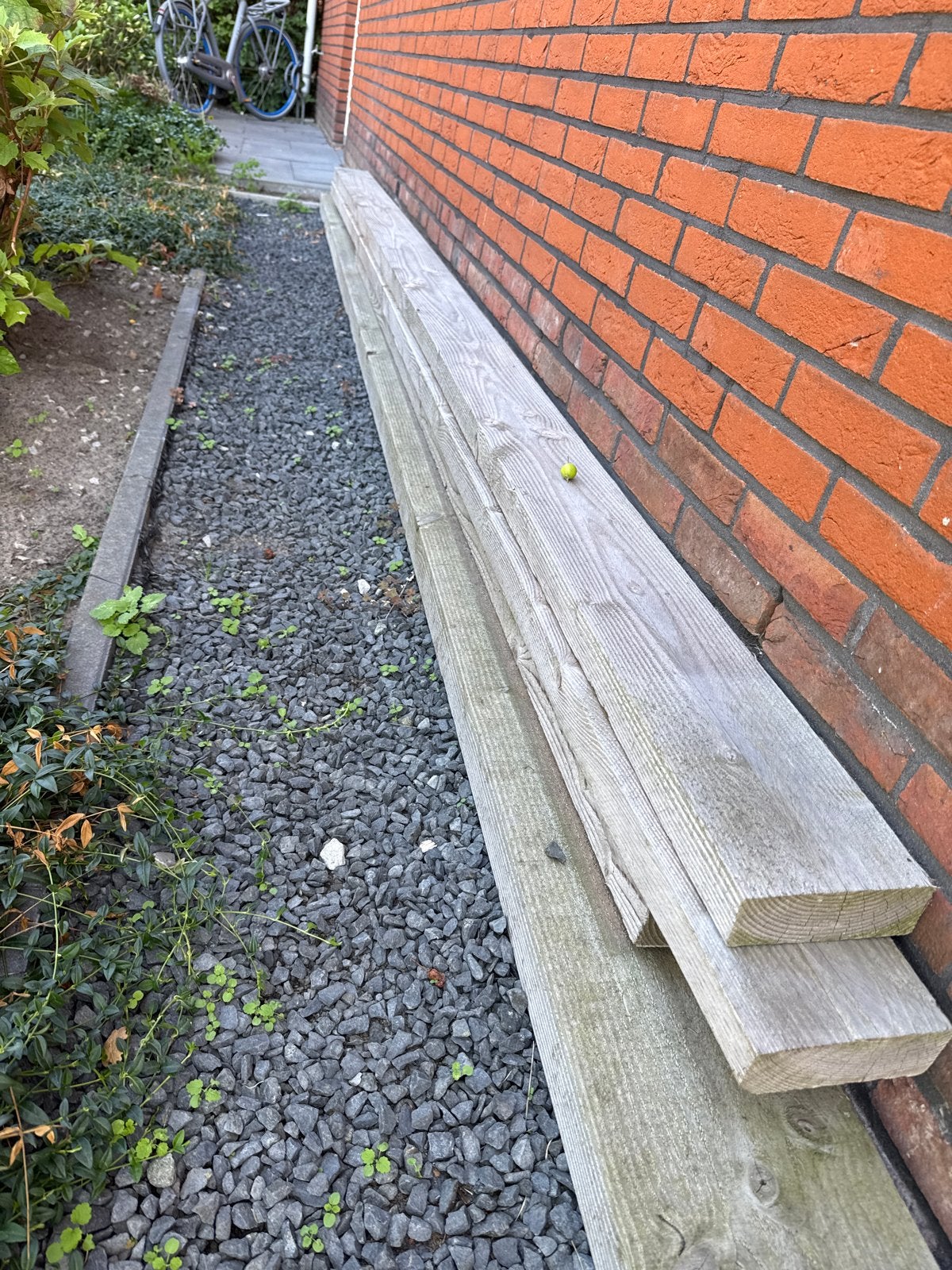 Douglas hout, Ophalen, Gebruikt, 25 tot 50 mm, Plank