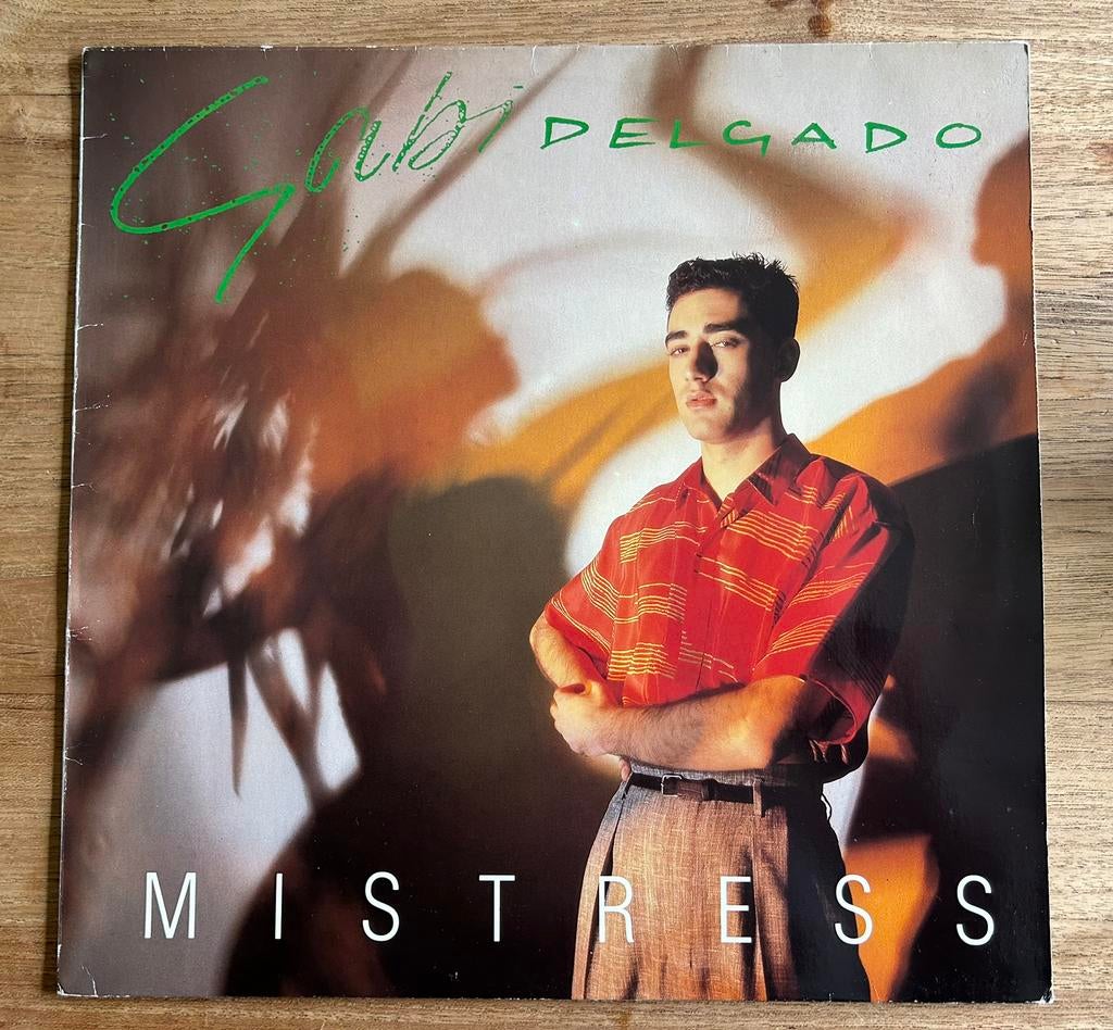 LP Vinyl ~ Gabi Delgado ~ Mistress + DAF inlay, Ophalen, Gebruikt, Inclusief insert, 1980 - 1989
