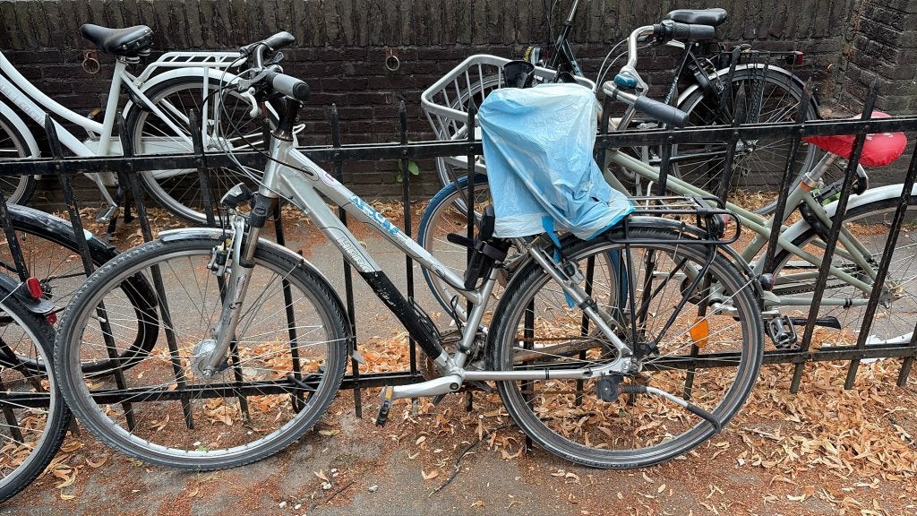 Hercules Bike, Ophalen, Gebruikt, Overige merken
