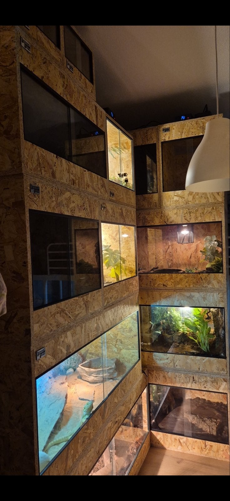 Osb terrariums, Dieren en Toebehoren, Reptielen en Amfibieën | Toebehoren, Ophalen, Nieuw