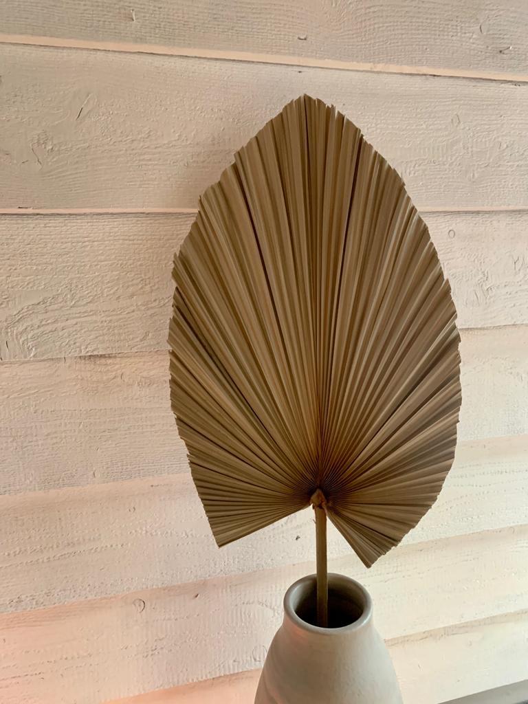 Exotische palmblad waaier - Natuurlijke decoratie, Huis en Inrichting, Overige materialen, Overige kleuren, 50 tot 75 cm, Nieuw