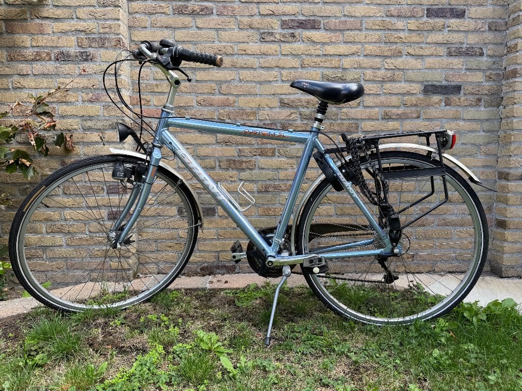 Fiets Giant Custom SL, Ophalen, Gebruikt, Velgrem, Versnellingen