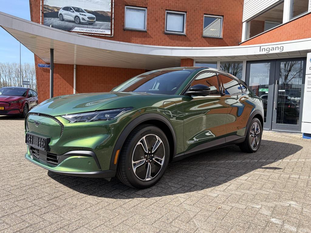 Ford Mustang Mach E Standard Range RWD 73 kWh | LFP accu | E, Auto's, Automaat, Achterwielaandrijving, 268 pk, 470 km