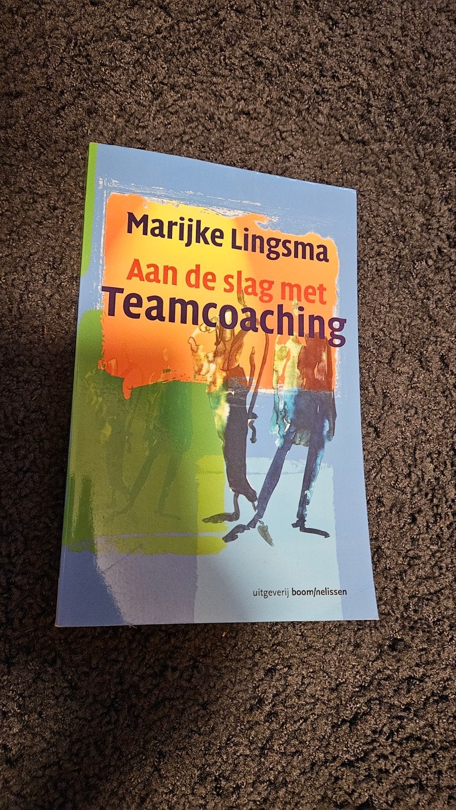 Aan de slag met Teamcoaching - Marijke Lingsma, Boeken, Ophalen of Verzenden, Zo goed als nieuw, Marijke Lingsma