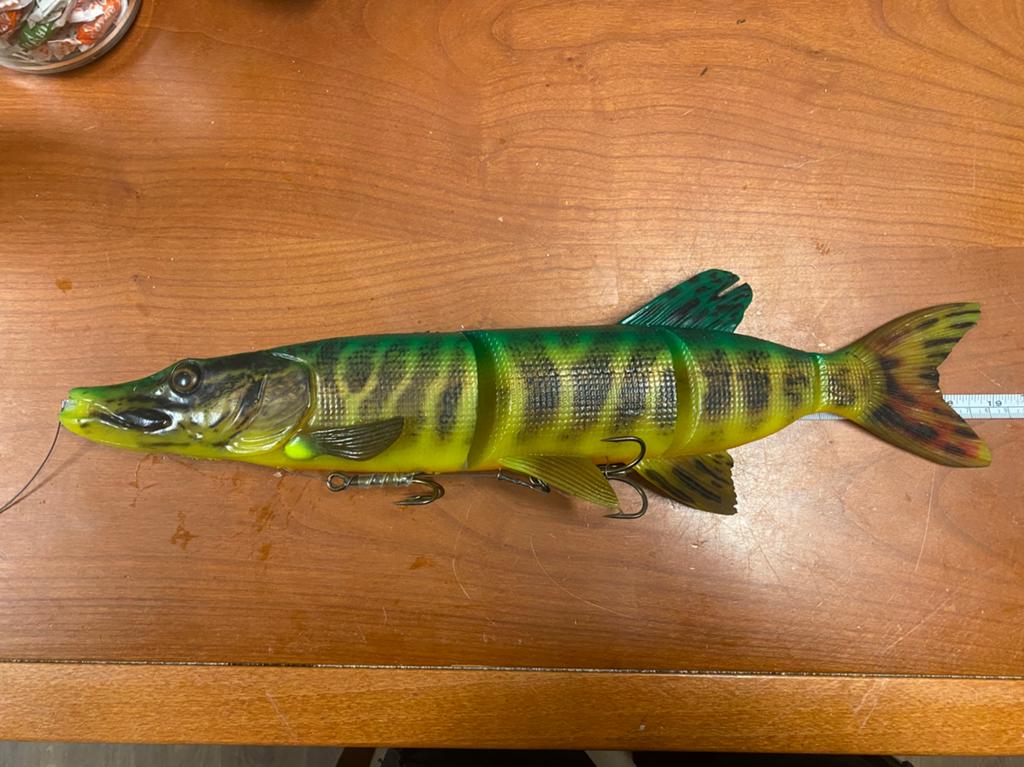 Savage Gear 4D Line Thru Pike 48cm, Ophalen of Verzenden, Zo goed als nieuw, Overige typen