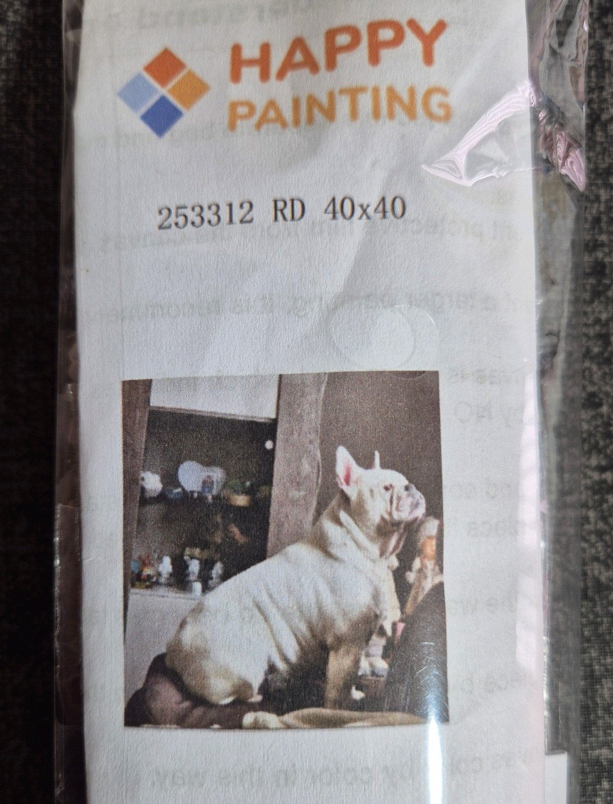 Diamond Painting Franse Bulldog 40x40 - Nieuwe Complete Set, Nieuw, Ophalen of Verzenden, Overige materialen, Overige merken