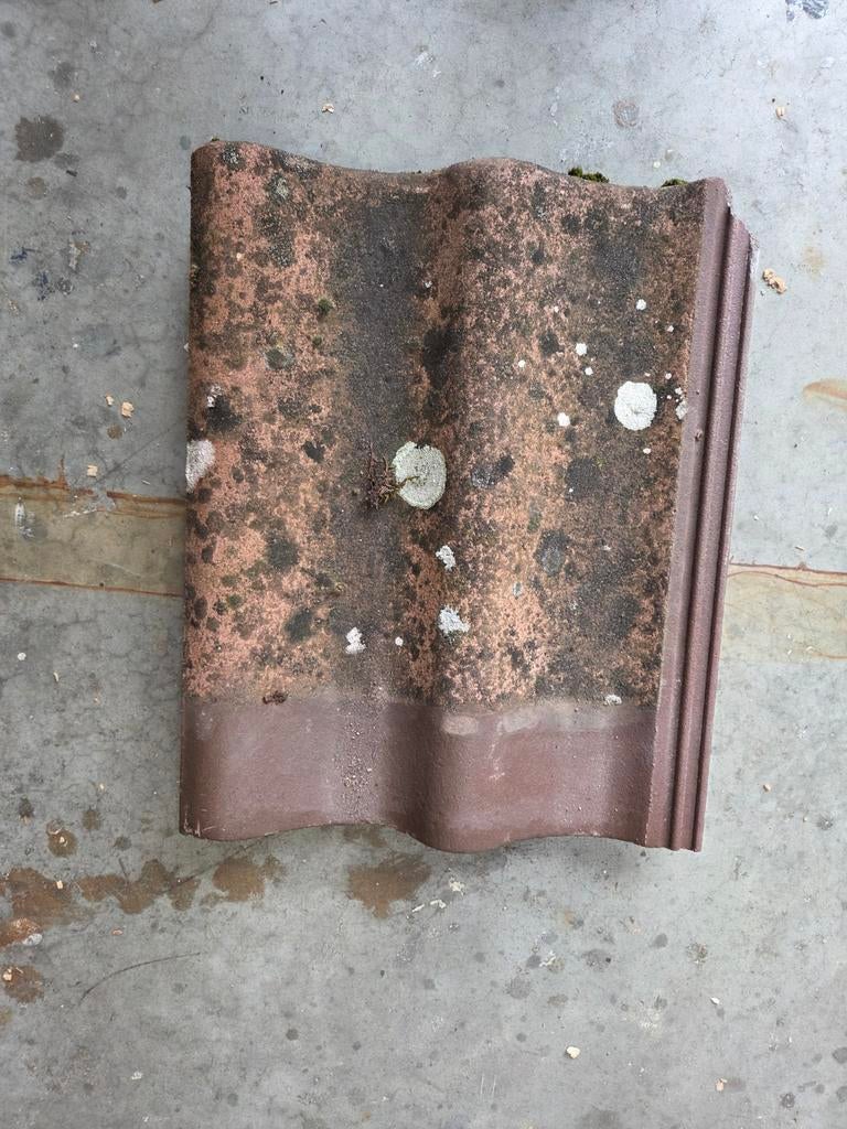 Dakpan, Ophalen of Verzenden, Steen of Klei, 15 m² of meer, Dakpannen