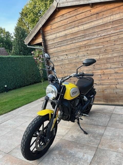 Ducati scrambler 800 icon, Motoren, Motoren | Ducati, 2 cilinders, Occasion, Motorrijbewijs A, Particulier