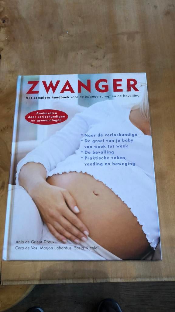 Sasja Nicolai - Zwanger, Zwangerschap en Bevalling, Ophalen of Verzenden, Zo goed als nieuw, Sasja Nicolai; Anja de Grient Dreux; Cora de Vos; Marjon Labo...
