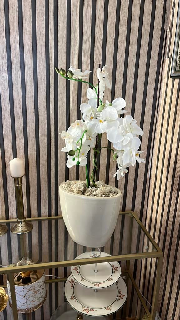 orchidee met vaas, Ophalen of Verzenden, Zo goed als nieuw