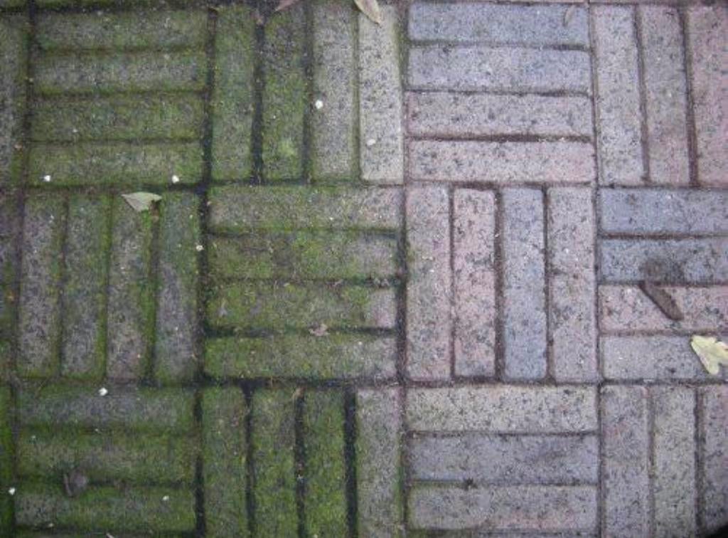 Tuin tegels schoonspuiten? En je onkruiden laten verwijderen, Tuinonderhoud of Snoeiwerk