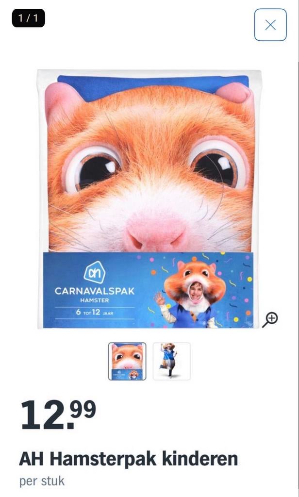 Hamsterpak Carnaval - Kinderen 6-12 jaar, Ophalen, Nieuw, 158 t/m 164, Jongen of Meisje