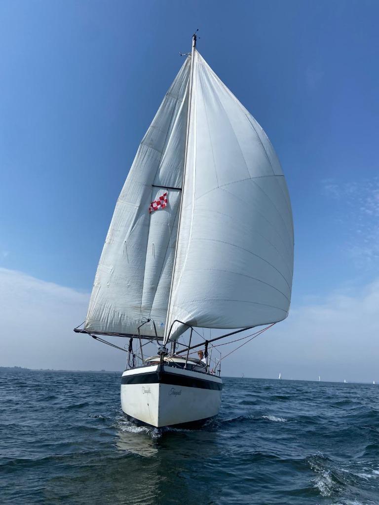 Mooie Friendship 28 zeiljacht met geheel gereviseerde motor!, Watersport en Boten, 9 m, Gebruikt, 1.95 meter, Binnenboordmotor