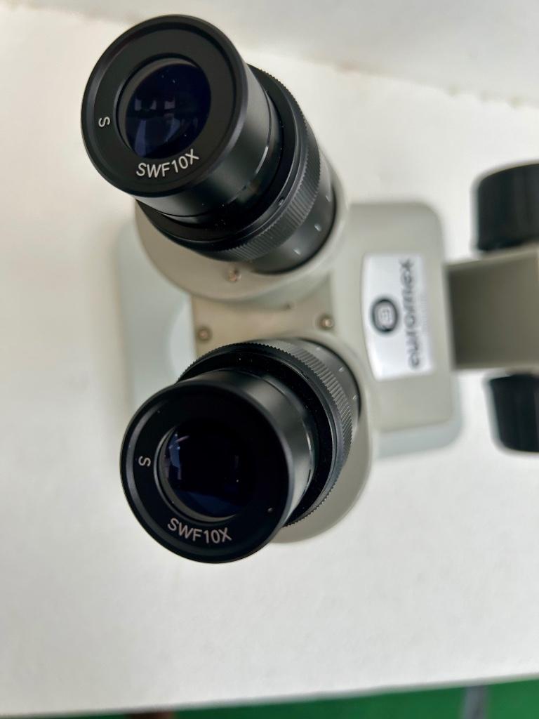 Stereo zoom microscoop Euromex, Ophalen of Verzenden, Zo goed als nieuw, Minder dan 400x, Stereomicroscoop