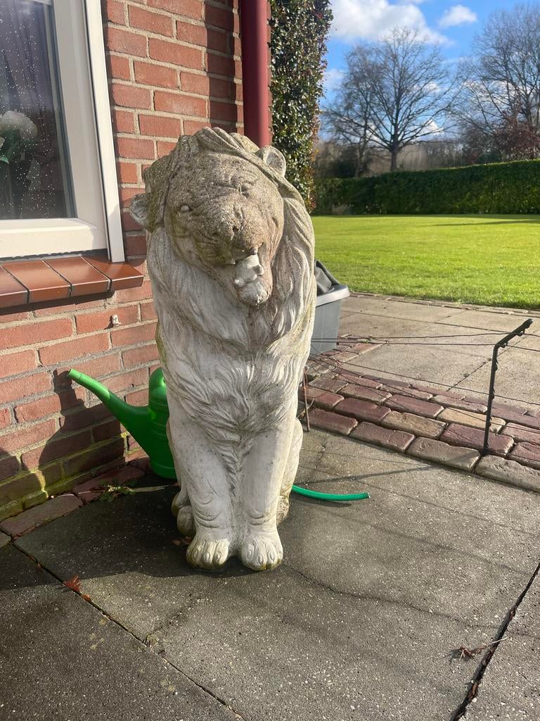 Betonnen Tuinbeeld Leeuw, Tuin en Terras, Tuinbeelden, Ophalen of Verzenden, Gebruikt, Beton, Dierenbeeld