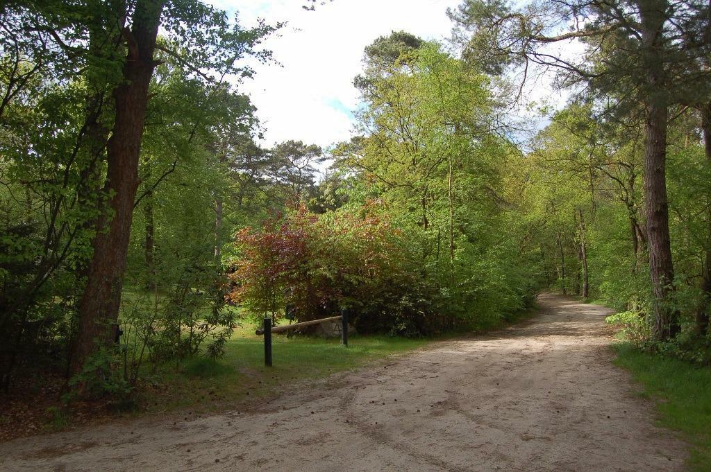 Vakantiehuisje in het Bos Drenthe/Dwingeloo - UNIEK!!, 5 personen, In bos, 2 slaapkamers, Afwasmachine