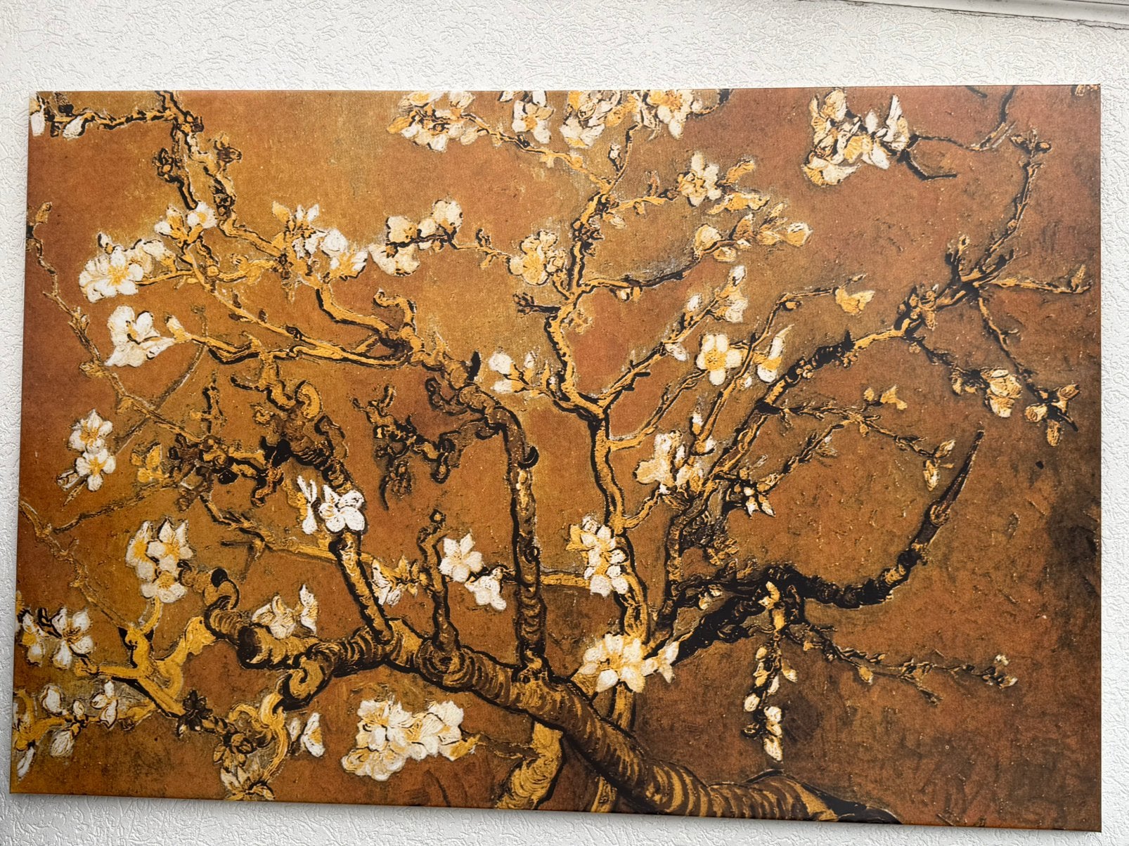 Van gogh canvas, Antiek en Kunst, Kunst | Schilderijen | Abstract, Ophalen