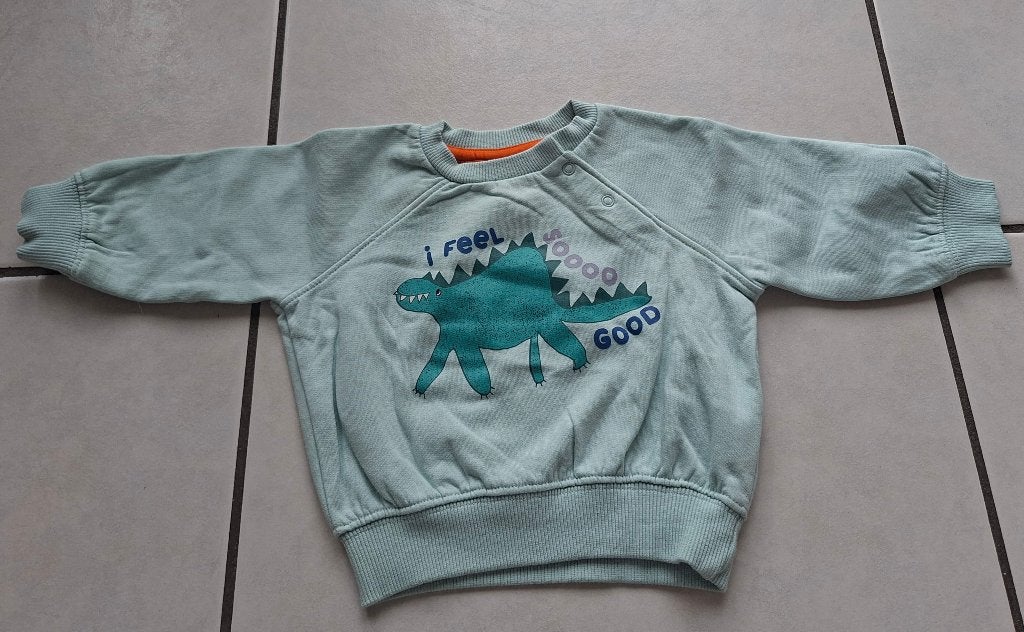maat 62- Hema- trui- mintgroen- dinosaurus, Truitje of Vestje, Ophalen of Verzenden, Zo goed als nieuw, Hema
