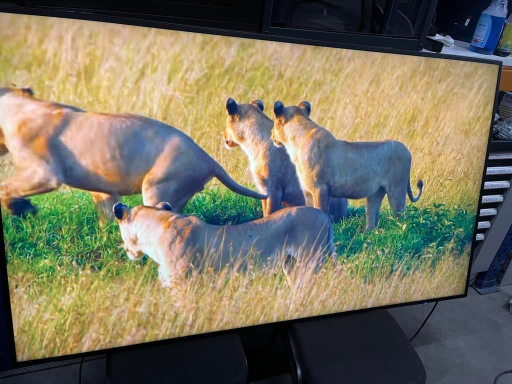 NEC Display 75Inch C751Q Norm€4749,00 nu €400,00  Scherm 2, Ophalen, Gebruikt, Tv en Weergevers