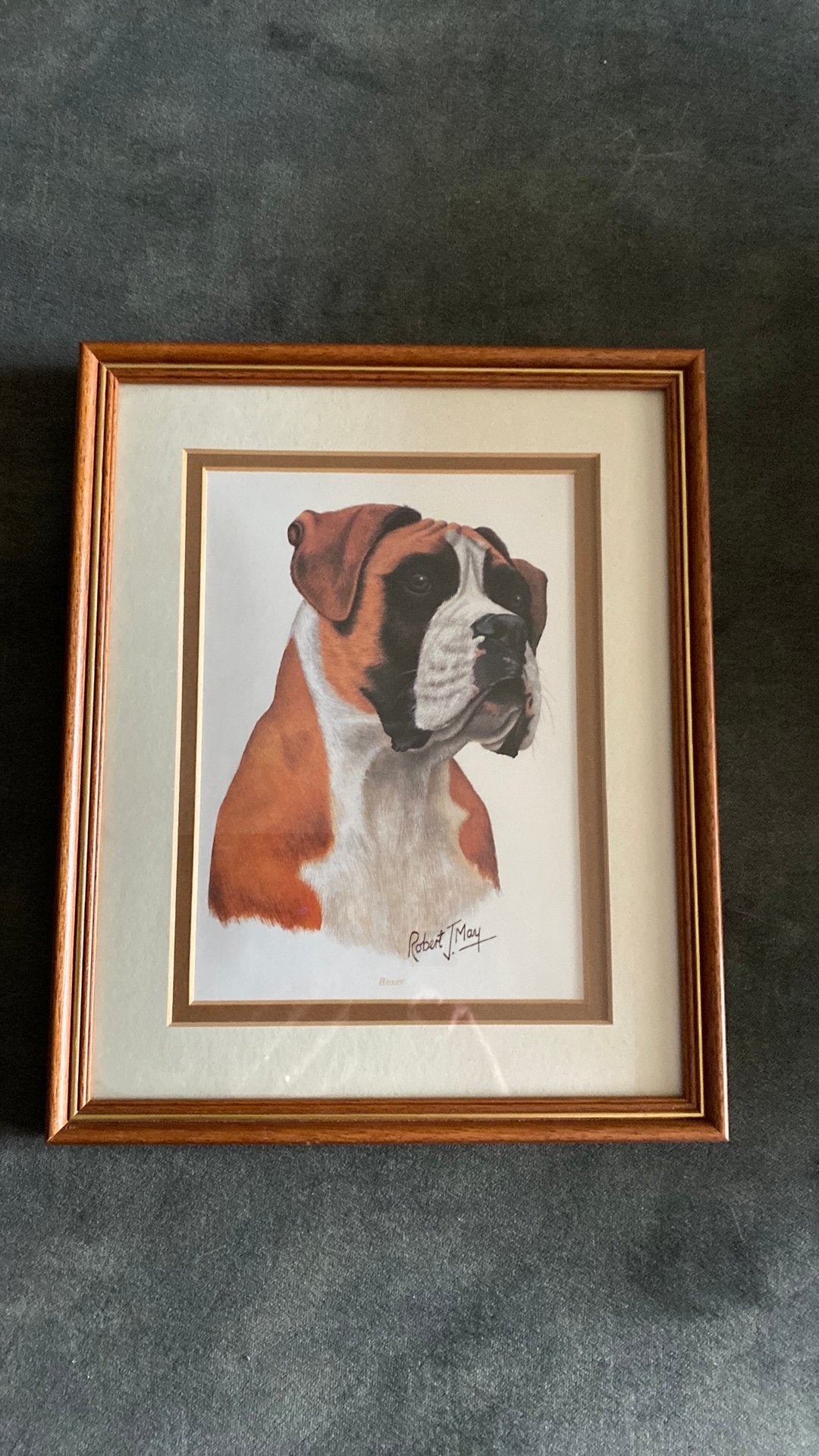 Boxer, Ophalen of Verzenden