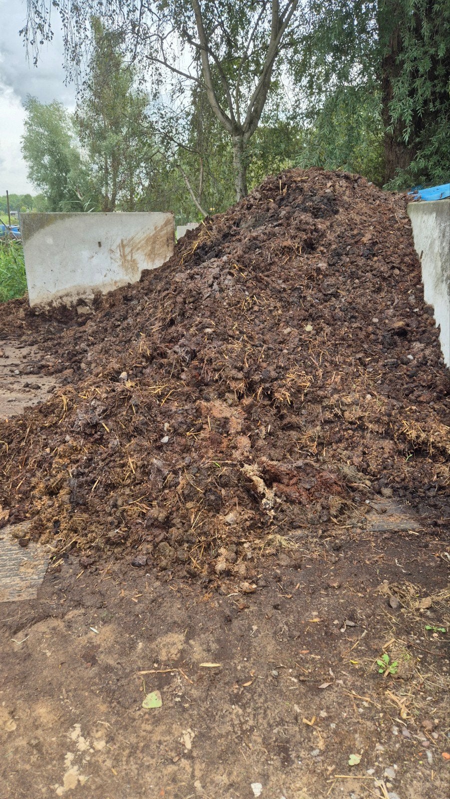 gratis paardenmest Naarden, Tuin en Terras, Aarde en Mest, Ophalen
