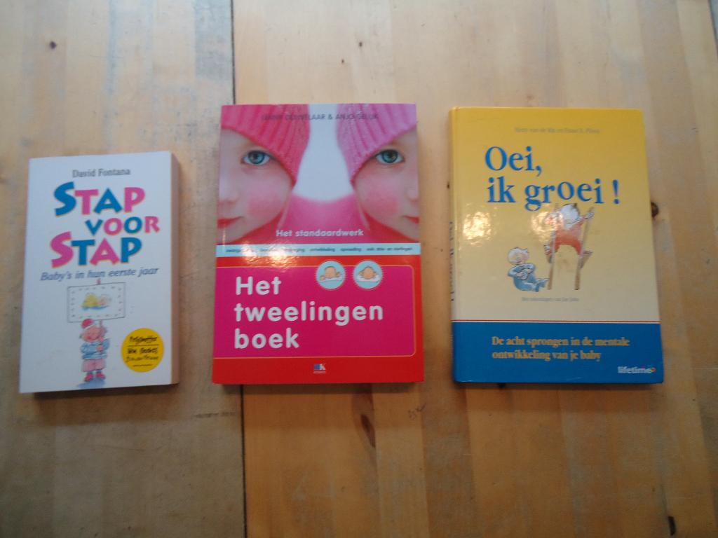 Tweelingen boek + Oei ik groei + Stap voor stap Baby, Ophalen of Verzenden, Zo goed als nieuw, Opvoeding tot 6 jaar