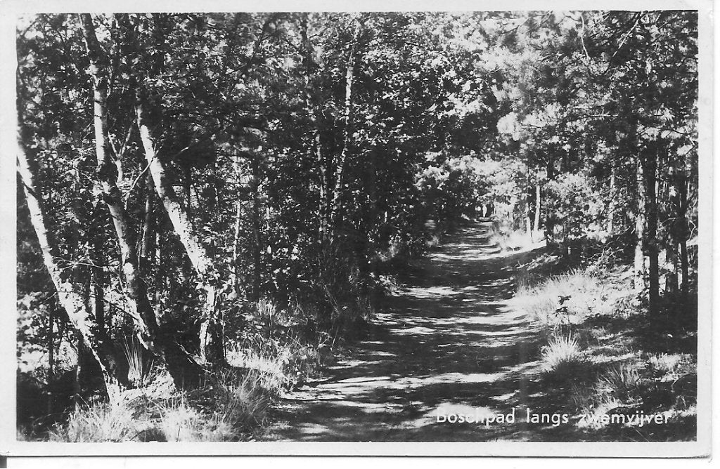 Oude ansichtkaart: Bospad langs Zwemvijver Roosendaal., Ophalen of Verzenden, 1940 tot 1960, Gelopen, Noord-Brabant