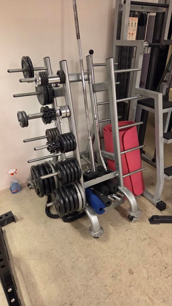 Pumprack. Fitness, Ophalen, Zo goed als nieuw, Halterschijven