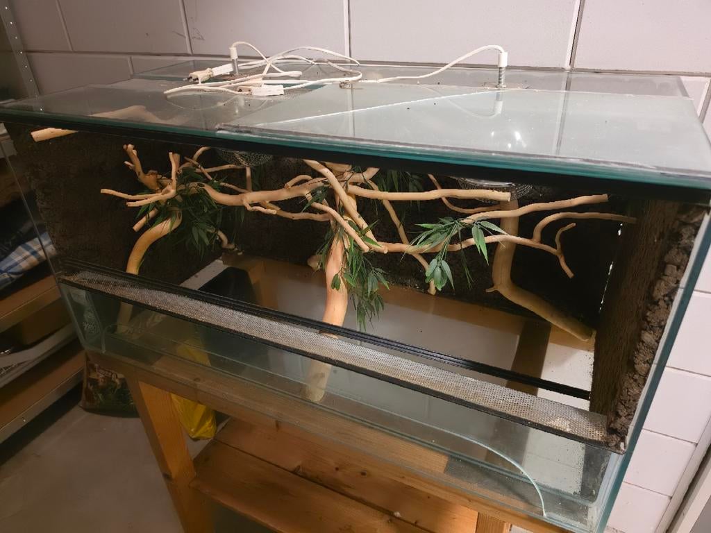 Terrarium, Ophalen