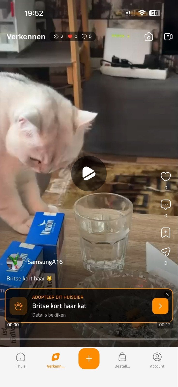 KopKap - Dé veilige app voor huisdieren! (Met Live, Video’s, Ophalen of Verzenden