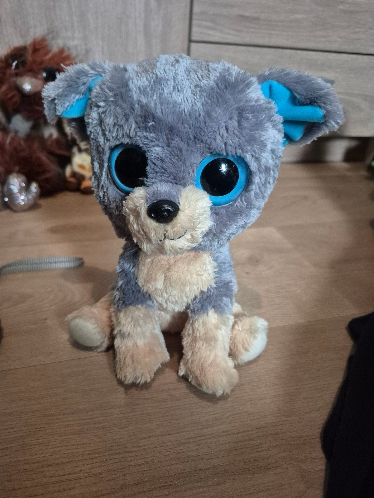 ty beanie hond knuffel, Ophalen of Verzenden, Zo goed als nieuw, Hond