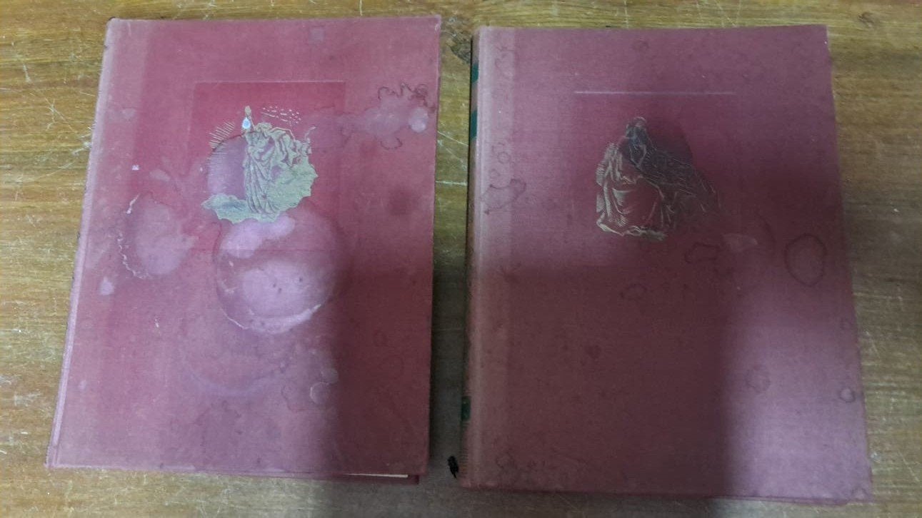 2 bijbels, Ophalen of Verzenden