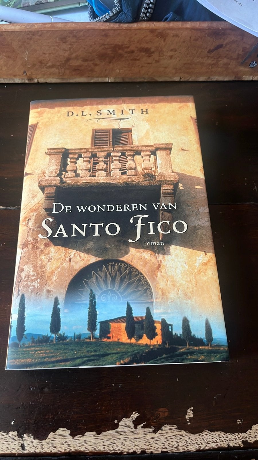 De Wonderen van Santo Fico - D.L. Smith (Roman), Ophalen of Verzenden, Gelezen, Europa overig
