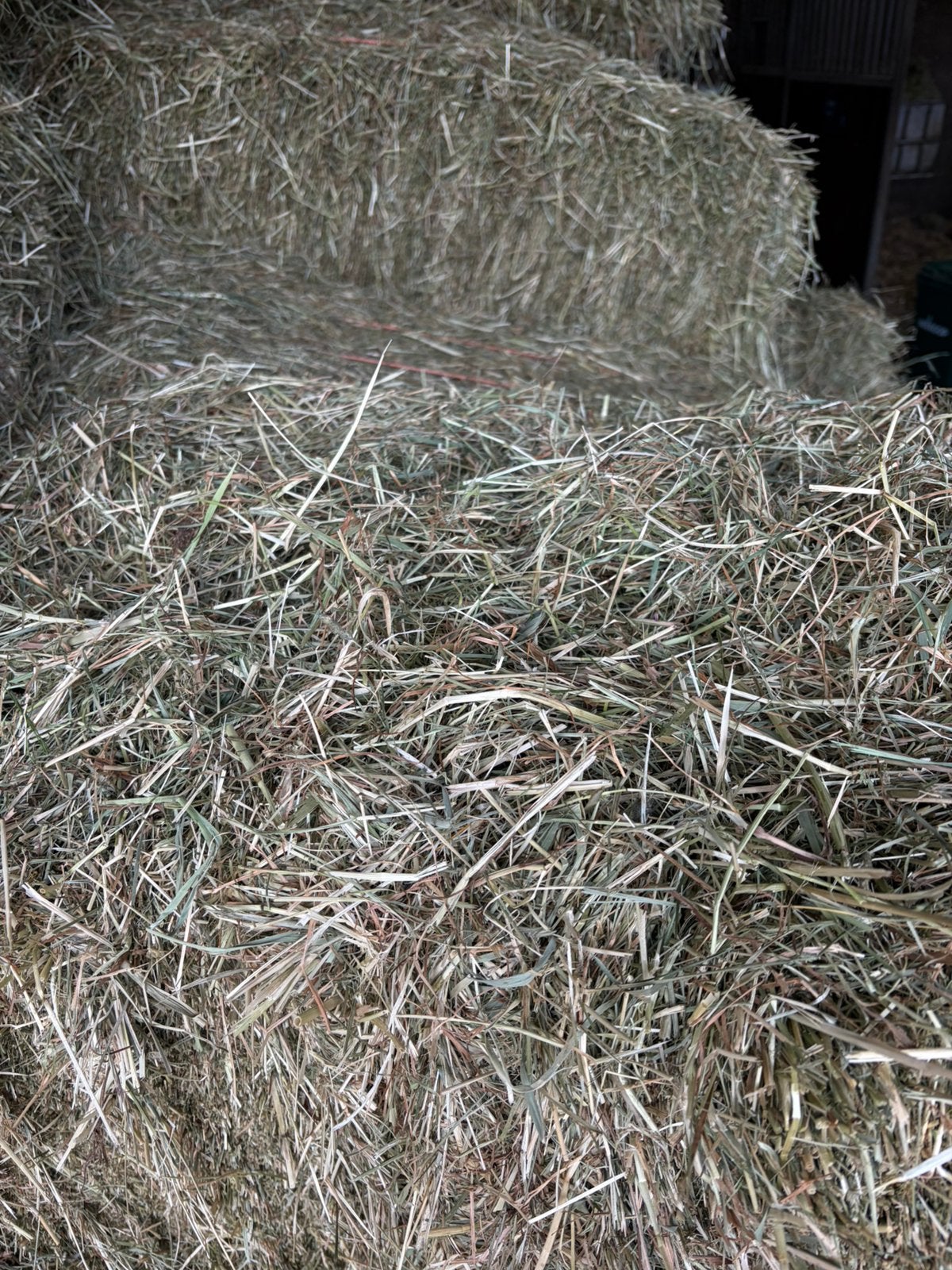 Hooibaaltjes te koop, Dieren en Toebehoren, Dierenvoeding, Ophalen of Verzenden, Vee
